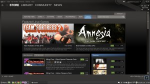 Screenshot: Steam für Linux